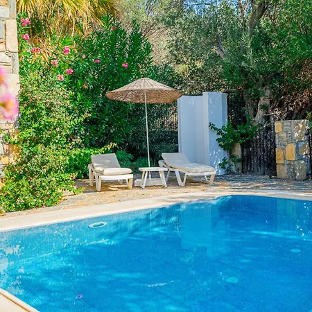 Salmakis Vilă Ortakent