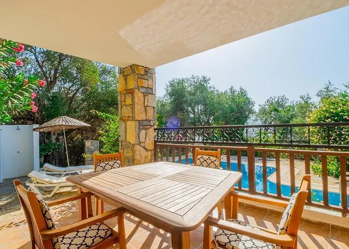 Salmakis Villa *