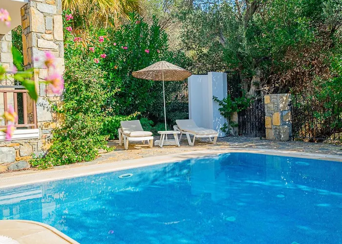 Salmakis Villa Ortakent